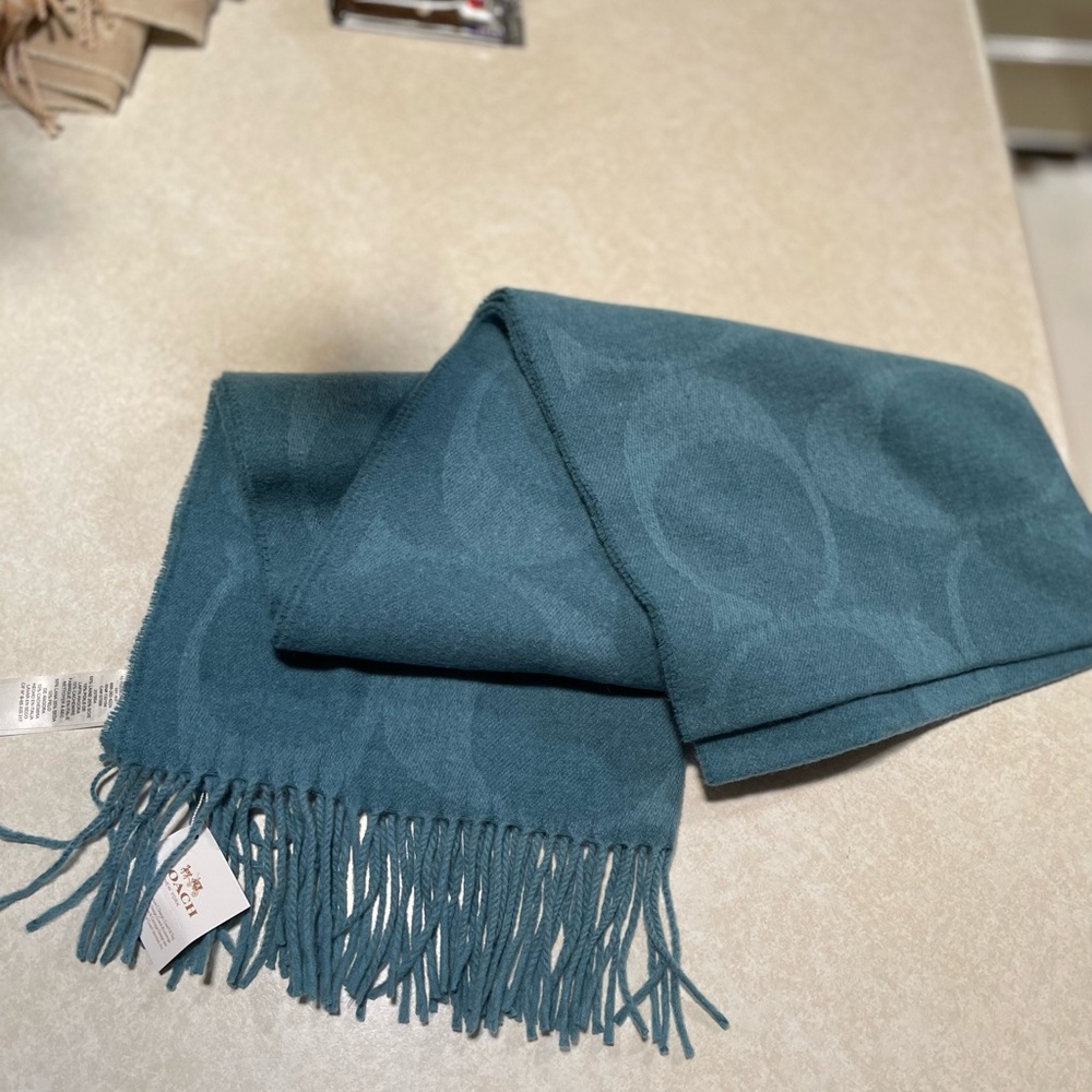 NWT coach scarf